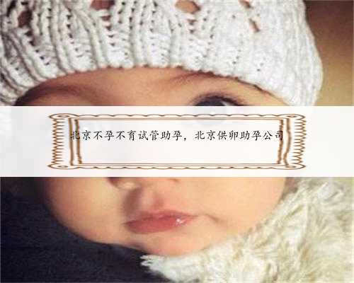 北京不孕不育试管助孕，北京供卵助孕公司